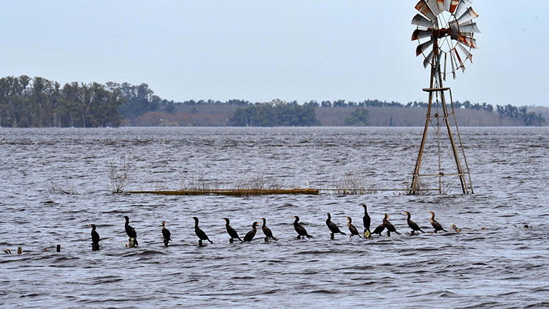 tmp_9069-inundacion-campo393648302