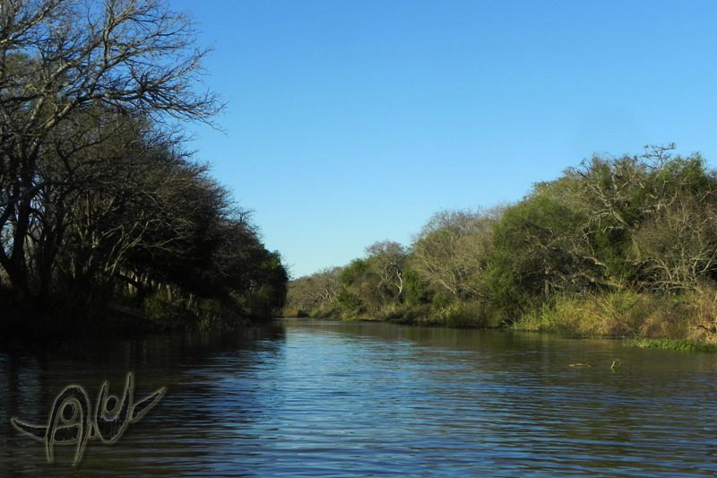 tmp_9691-kayak-rosario-rio-parana-julio-2012-3814606457