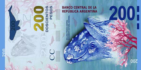 El billete de $200: Ballena franca austral. Mar Argentino, Antártida e islas del Atlántico sur.