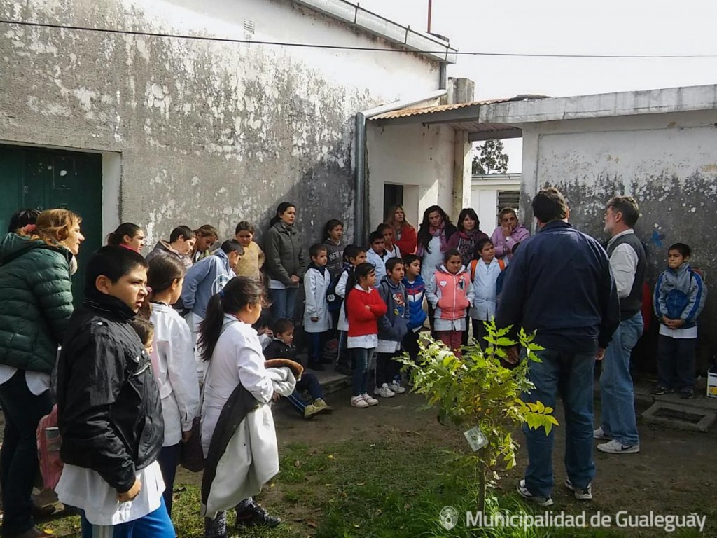 HORNO EN PUERTO RUIZ-4