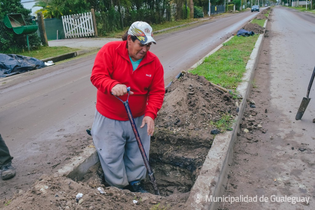 Paseos y jardines 28-06-2017_