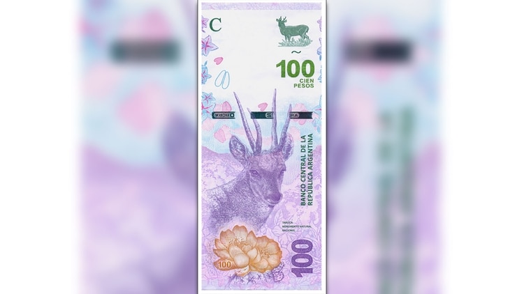 Nuevo-billete-100-pesos-taruca-7