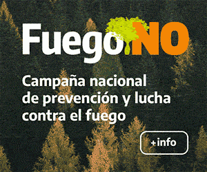Banners-web_Fuego-300x250